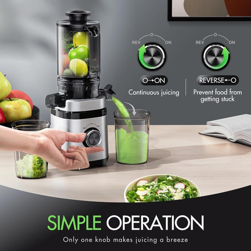 EILKOS Juicer Machines, Cold Press Juicer with Wide Feed Chute, Slow Masticating Juicers for Whole Vegetables & Fruits, High Juice Yield, Easy to Clean, Large Auger, Light Silver - Image 2